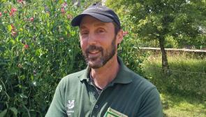 Getting to know the Head Gardener of Buckland Abbey
