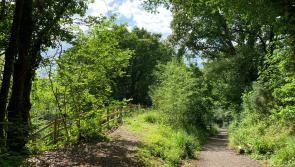 Moor Outdoors - The Wray Valley Trail from Bovey Tracey to Hawkmoor Halt