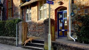 UPDATE - Okehampton Food bank moves to new home