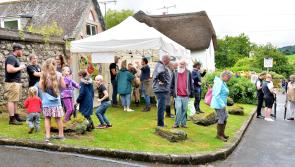 Despite the rain, a successful North Bovey Fair