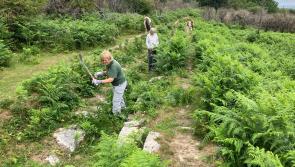Young leaders invited to shape the future of Dartmoor

