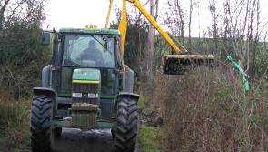 Devon Hedge Award now open for entries
