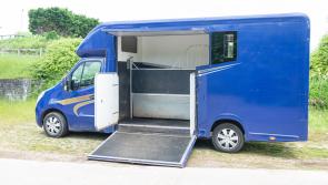 Horse rescue charity nears goal for new horsebox






