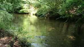 Public invited to celebrate the River Plym and its communities in Plymouth