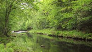 Group launches Crowdfunder to combat sewage pollution in River Dart
