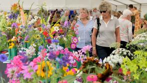 Chagford Show 2024