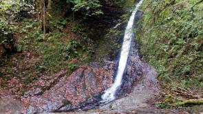 How Dartmoor and the National Trust are managing tourism impact
