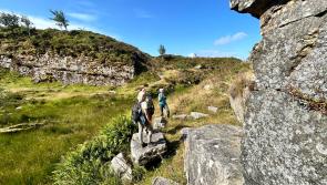 Charity grows hope for rare native fern
