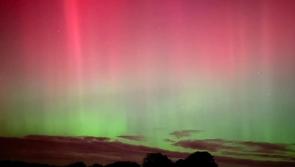 Aurora lights up Dartmoor in a storm of colours
