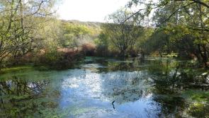 Devon "urged" to prepare for floods