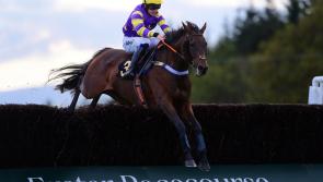 Exeter Racecourse: preview and tips for Best Mate Chase meeting at on Tuesday