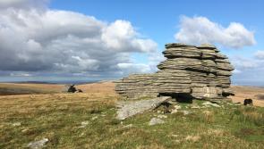 Dartmoor Nature Alliance launched to restore wildlife
