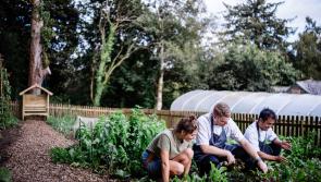 Bovey Castle Hotel launches garden tours
