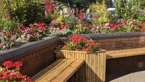 InExeter wins ‘Best Business Improvement District’ at Britain in Bloom Awards