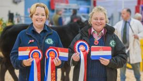 Annual Agrifest South West returns to Exeter