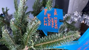 Exeter charity Julian House unveils Christmas tree of hope in Princesshay