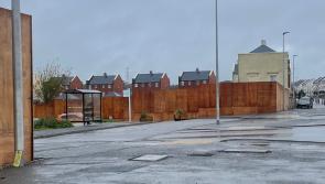 Residents call for direct bus link between Sherford and Plympton
