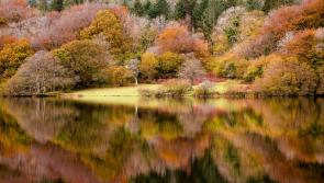 Burrator Reservoir photo wins South West Lakes Trust competition
