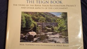 The Teign Book
