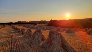 West Devon Borough Council calls on Government to rethink proposed Agricultural Property Tax