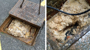South West Water warns of Christmas drain blockages
