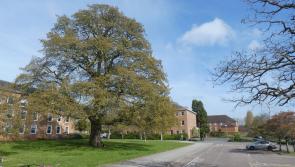 Councils respond to Devolution White Paper in Devon