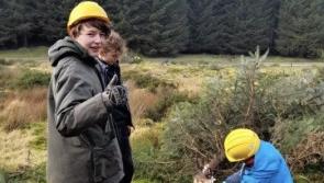  Applications open for Dartmoor Future Skills Course

