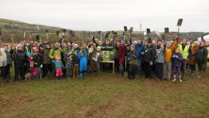 South Brent volunteers launch Hope Wood with tree planting initiative