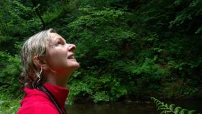 National Trust celebrates 130 years with bold plans