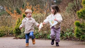 RHS Rosemoor to host "Guess How Much I Love You" interactive family trail and activities this half term