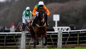Nothing beats a day at the races