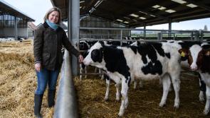 South West Devon MP visits Arla Foods to champion British dairy sector

