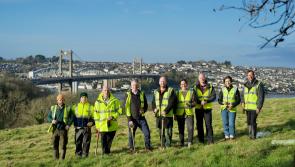 Thousands of trees planted at Plymouth Defence Munitions site in collaborative scheme