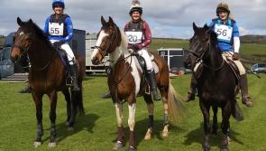 South Moor Vets joins XLVets after major expansion in South Devon