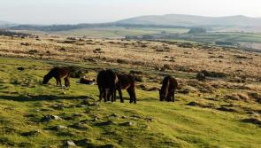 The Moorlander is looking for freelance journalists
