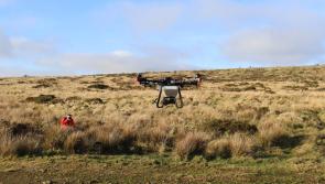 Drone seeding trial aims to revolutionise rainforest restoration