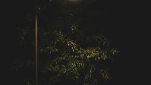 Devon County Council launches year-long streetlight dimming trial to cut carbon and costs