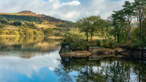 Devon and Cornwall&rsquo;s largest environmental charity marks milestone year
