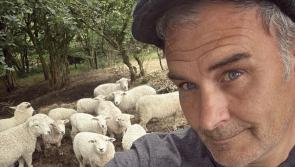 Sheep farming helps turn life around for Dartmoor man