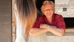 Martin Clunes to open heavy horse festival at Devon County Show 2025