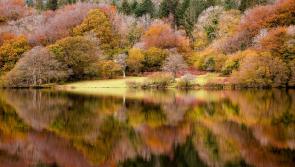 South West Lakes launches 2025 ‘Love Your Lakes’ photo competition to celebrate 25 years of memories