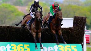 A winning Easter at Newton Races