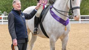 Okehampton rider qualifies for Horse of the Year Show