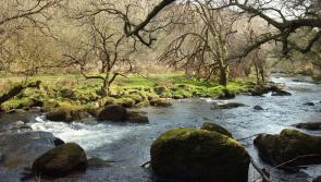 Dartmoor faces rising flood threat amid climate concerns
