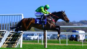 Racing returns to Newton Abbot this week