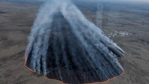 Dartmoor wildfire destroys acres of moorland in one of Devon’s largest blazes on record