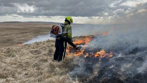 Fire warning for Dartmoor as weekend risk hits ‘very high’