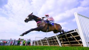 Crowds up at Newton Races