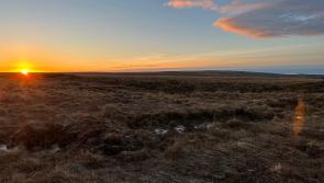 Dartmoor's peatland restoration – the jewel in the crown of conservation