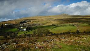 Dartmoor celebrates culture, nature, and community with packed seasonal events